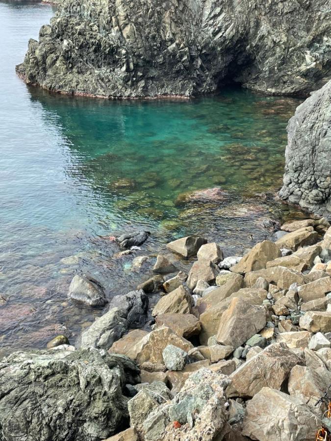Appartamento Cielo&Terra2 Levanto Eksteriør billede