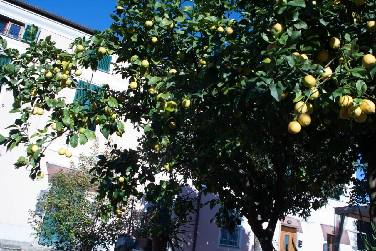 Appartamento Cielo&Terra2 Levanto Eksteriør billede